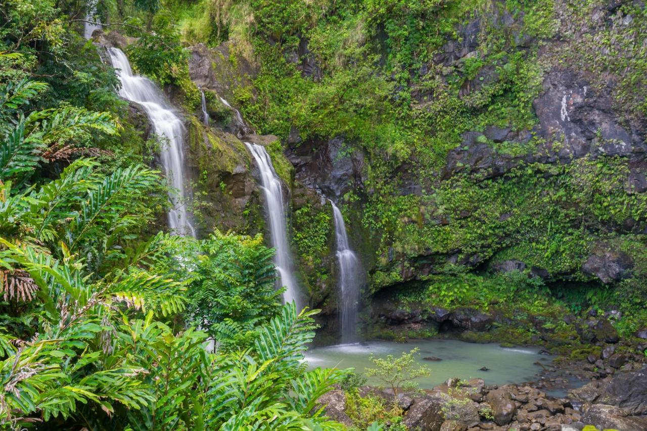 Kaleialoha 213 Villa Lahaina Kültér fotó